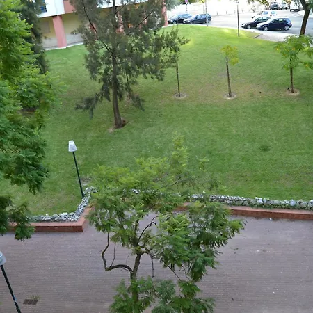 In One Flat Apartment